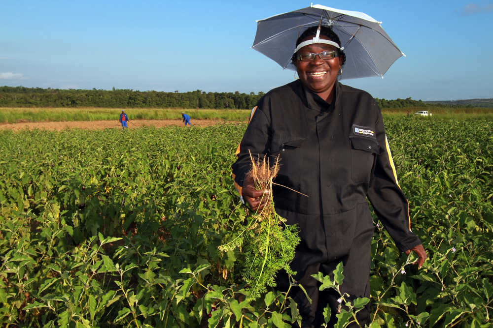 lentrepreneuse-olga-gotto-dans-ses-champs-de-legume-contente-de-recolte_01_baudouin-mouanda