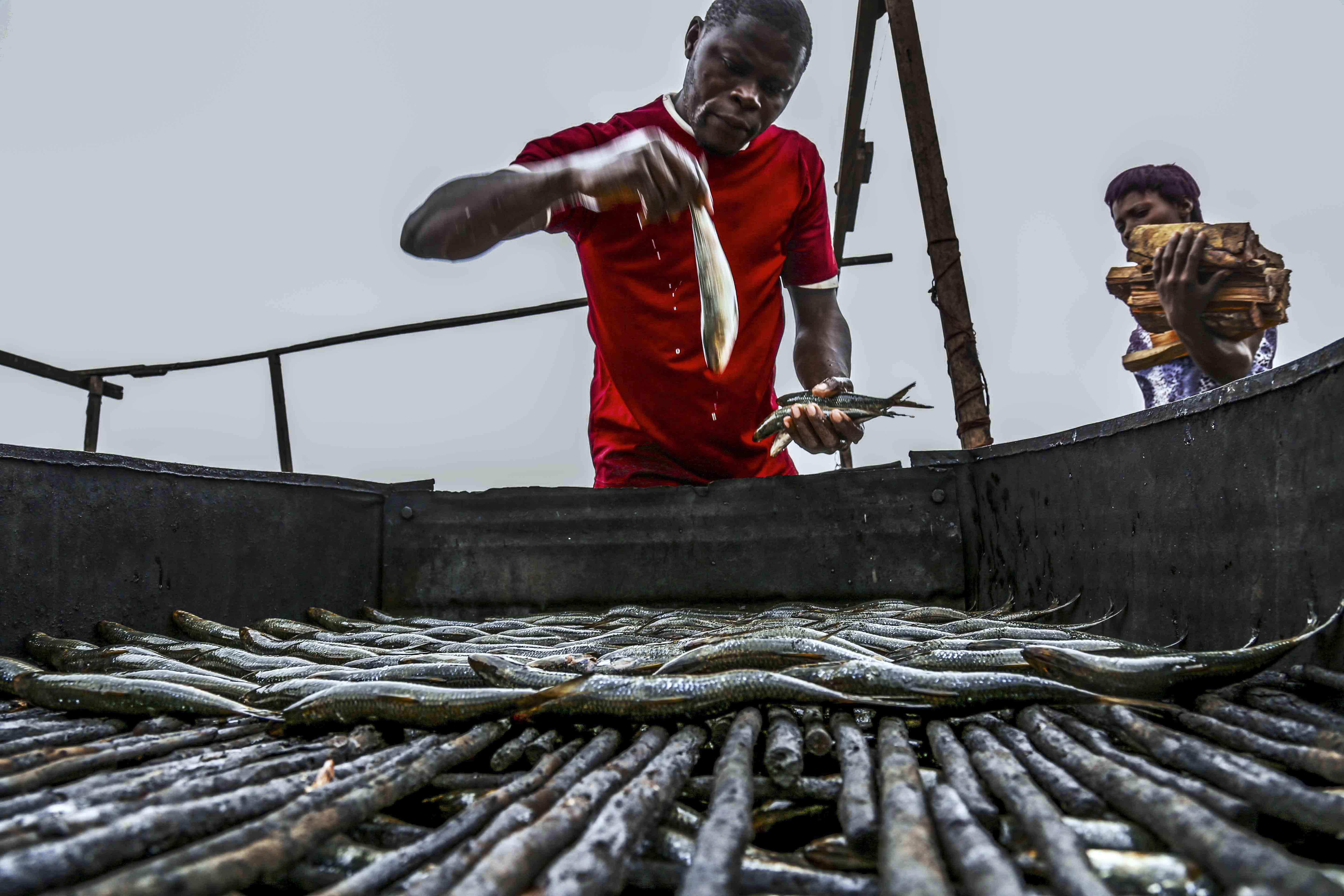 un-marche-des-poissons-fume_baudouin-mouanda-10